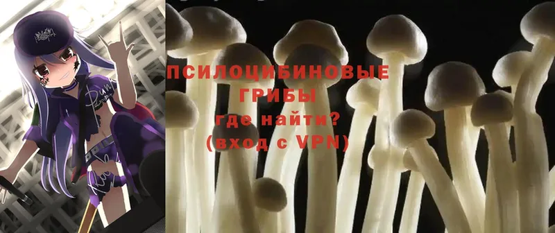 где купить наркоту  мега рабочий сайт  Галлюциногенные грибы MAGIC MUSHROOMS  Краснодар 